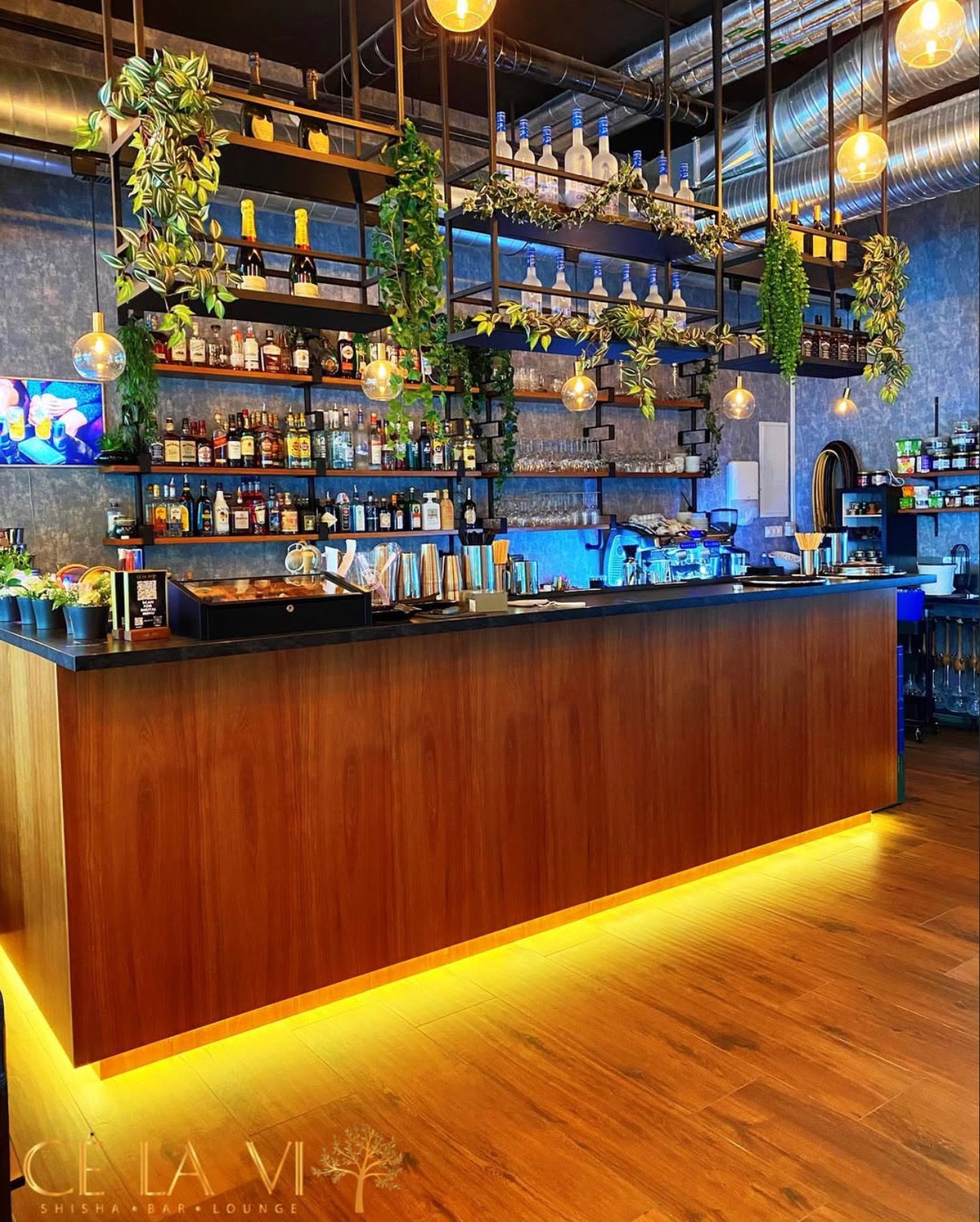 Bar Interieur im CÉ LA VI mit Pflanzen und warmem Licht